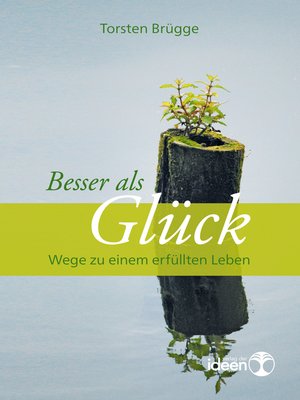 cover image of Besser als Glück